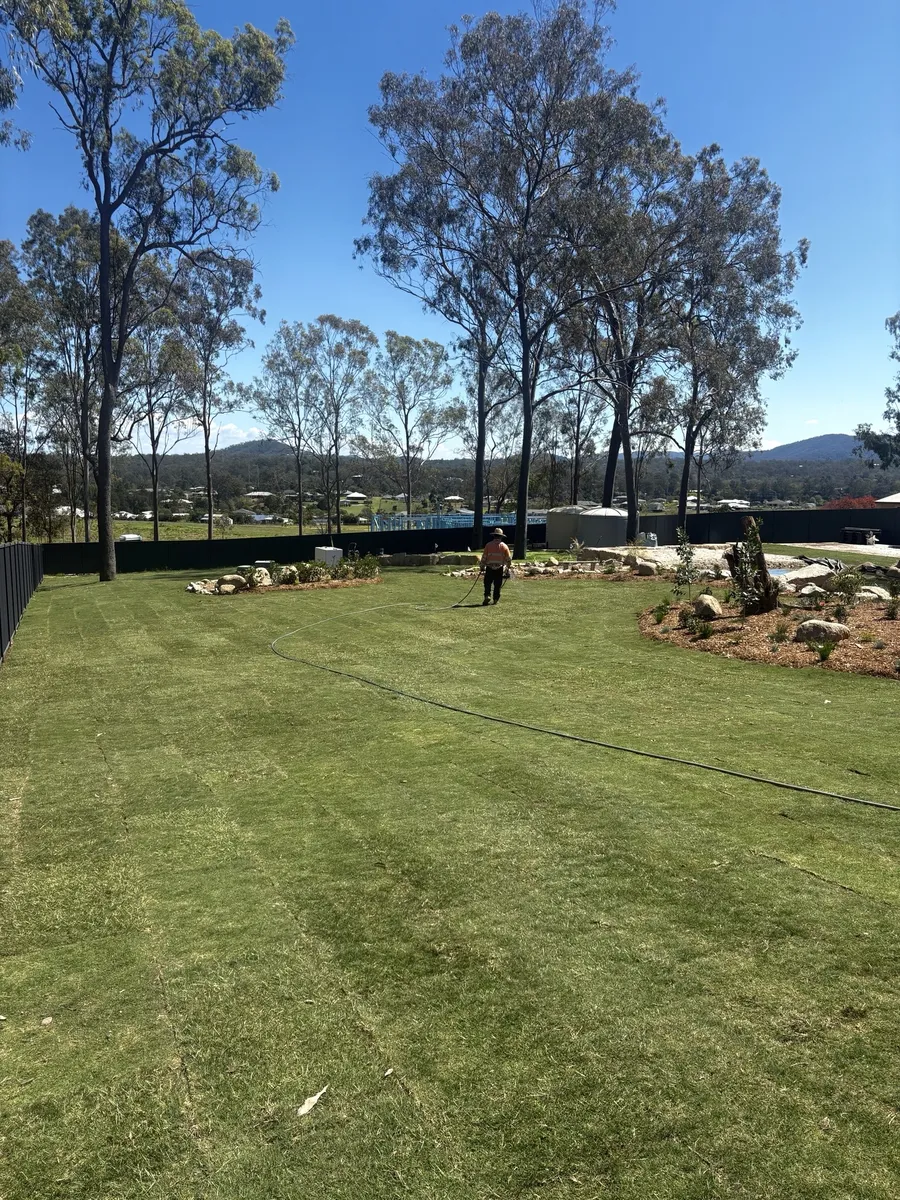 Sir Walter Buffalo installation at Mundijong, WA